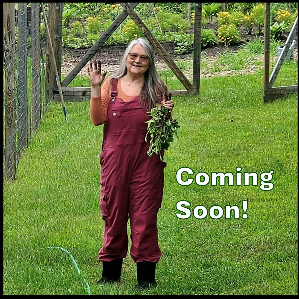 Pennie Opal Plant - Original Paintings